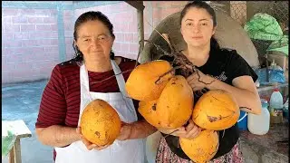 Como Hacer Rico Fresco De Coco **Tienes Que Probarlo**