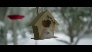 Christmas In January BMPCC 6k Pro
