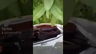 Сумка женская повседневная двухцветная
