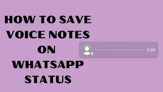 How to Download Voice Notes on WhatsApp Status Without Screen Recording