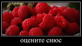 ОЦЕНИТЕ СНЮС | ПРОСТО СМОТРЮ МЕМЫ