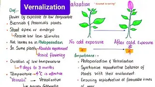 Vernalization | vernalization in plants | class 12
