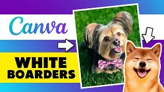 How to Put a White Border Around an Image in Canva