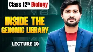 Inside the Genomic Library: The Key to Identifying and Studying Genes