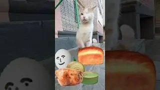 пародия на 