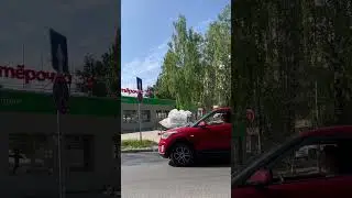 Хорошо и сладко работать в Сыктывкарпиво#квас#song#nature#funnyvideo #travel