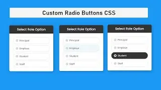 How to make Custom Radio Buttons with HTML and CSS Project