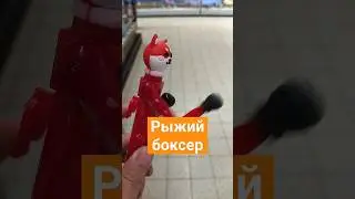 Кот боксер. Рыжий @СаняChicago