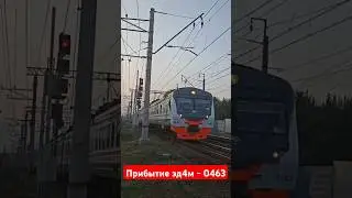 Электропоезд Эд4м - 0463 ЦППК ПРИБЫВАЕТ НА ПЛ. ШЕРЕМЕТЬЕВСКАЯ #asmr #train #поезд