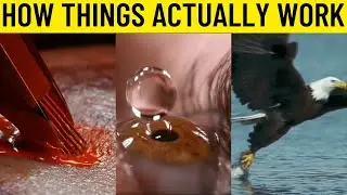 How things actually work...