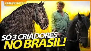 FRIESIAN, UM CAVALO QUE QUASE FOI EXTINTO! | RICHARD RASMUSSEN
