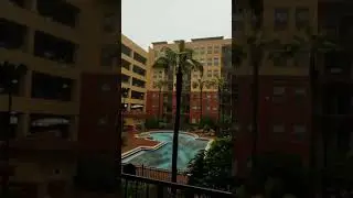 The Outer Bands of Hurricane Irma