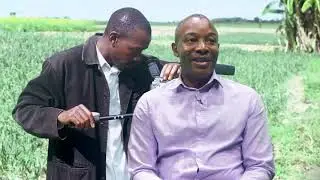 Geniuses sow but pirates in shocking harvest