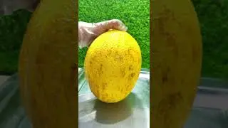 cantaloupe fruit cutting #cantaloupe #fruit #fruitcutting #cuttingfruit #melon #foodshorts #shorts