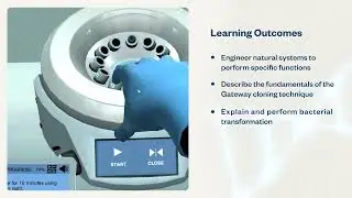 Synthetic Biology | Virtual Lab
