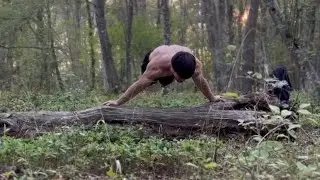 The best of Calisthenics #calisthenics #sports #shorts #workaut #streetworkout #recommended