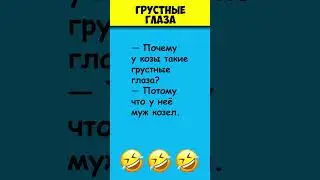 ГРУСТНЫЕ ГЛАЗА 😎 Самые смешные анекдоты про животных 
