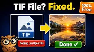 How to Convert TIF to JPG Without Expensive Software — Free, 1 Minute (Phone, Windows & Mac)