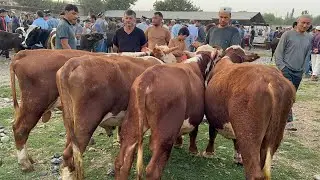 БОЗОРИ ЧИЛСОЛАГИ РЕГАР НАРХИ БУКА ВА БУКАЧА 17 августа 2024 г.