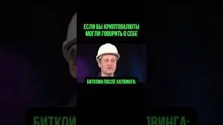 Мем ⚡️ 