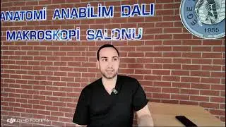 Saç Ekimi Eğitimi - Fresh Kadavra ve Modeller Üzerinde Hibrit Eğitim