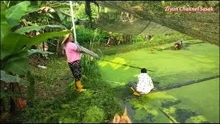 Gerebek Pondok Sahabat Tki Lombok kerja di Kebun Bunga Hiasan Ikan