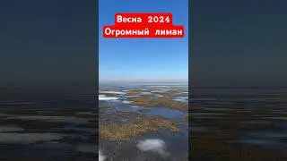 НАВОДНЕНИЕ В ПОЛЯХ🔥#охота #охотанагуся #весенняяохота  #охотанауток #охотавидео #shorts