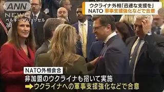 NATO外相会合　ウクライナ軍事支援強化などで合意(2022年4月8日)