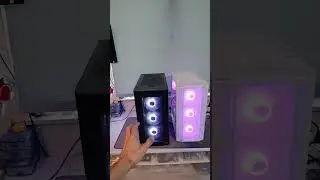 Вечная дилемма решена !!🐷