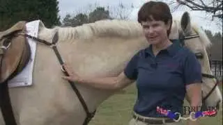 Nunn Finer Hunting Breastplate with Elastic