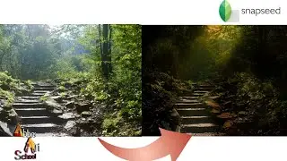 How to give a picture a cinematic look using Snapseed | mobile editing tutorial