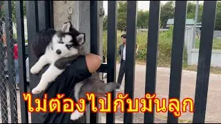 ข้าวคั่วพึ่งมาอยู่ได้แปปเดียวถูกพ่อทิ้งไปซะแล้ว