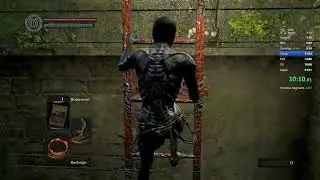 DSR Any% 21 29 not legal cause keybind change