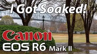 Rainy Day Photography with the Canon R6 Mark II, 14-35, 24-105, & 100-400 Lenses!