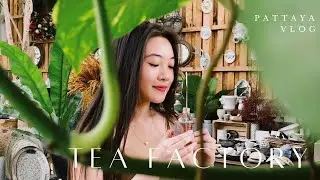 Pattaya Vlog | Part 4 | A' La Campagne Tea Factory