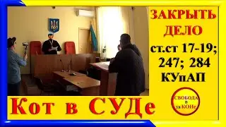 Кот в СУДе. ЗАКРЫТЬ ДЕЛО