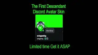 Avatar Skin for Discord - The First Descendant
