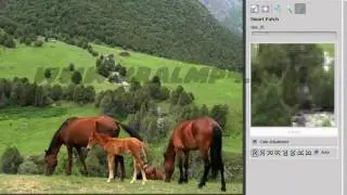 Photo Scissors Pilot [Videolu Anlatım]
