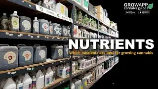 Which nutrients are best for growing cannabis