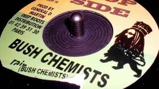 Bush Chemists // Rain & Thunder version