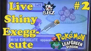 [Safari Week 2017 #6] Live!!! 2nd shiny Exeggcute after 11,984 REs!! (Win or Fail?)