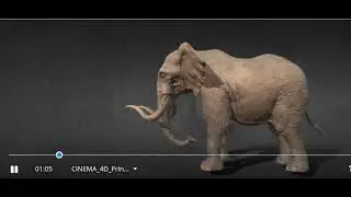 Elephant Animation Idle 3D Model | Skecth Feb