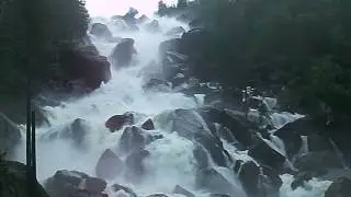 Учар