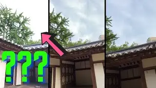 아이폰11, 아이폰XR, 아이폰se2, 아이폰8 카메라 비교 리뷰 끝판왕 1부