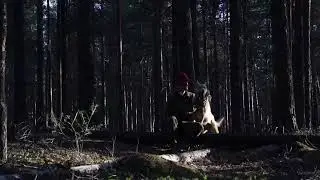 48.Место силы.