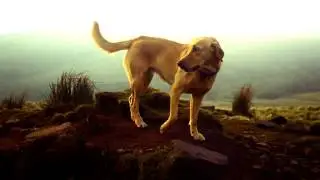 Pen Y Fan.