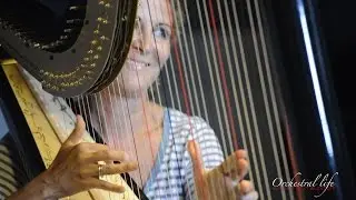 Promo Orchestral Life 2016 - Luisa Prandina