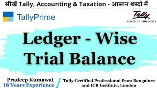 How to See Ledger Wise Trial Balance l Ledger Wise Trial Balance l #trialbalance #ledger #tally