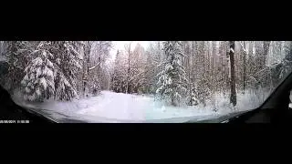 Лесная дорога