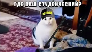 Когда заходишь в институт